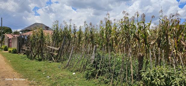 Commercial Plot for Sale Touching Tarmac Kapsoya Eldoret - thumbnail 3