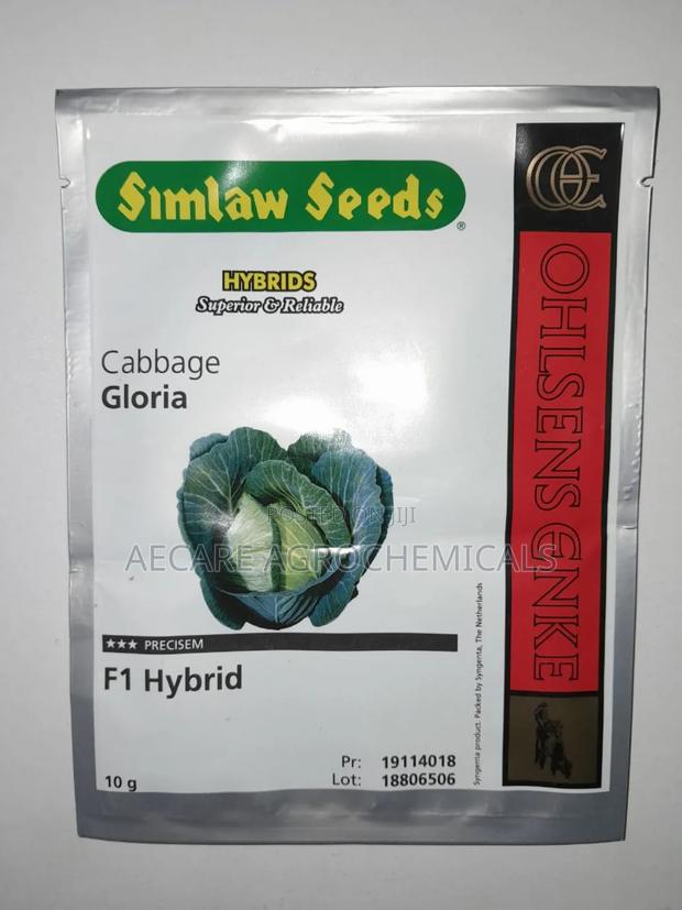 Gloria F1 Cabbage Hybrid Seeds 10 Grams