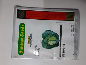 Gloria F1 Cabbage Hybrid Seeds 10 Grams