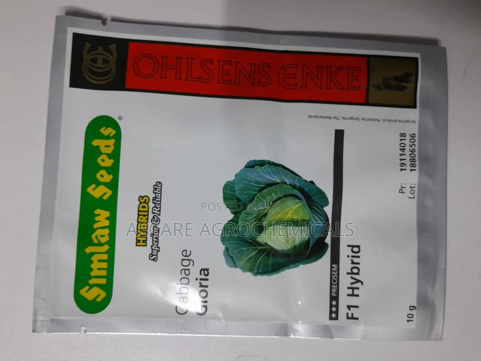Gloria F1 Cabbage Hybrid Seeds 10 Grams