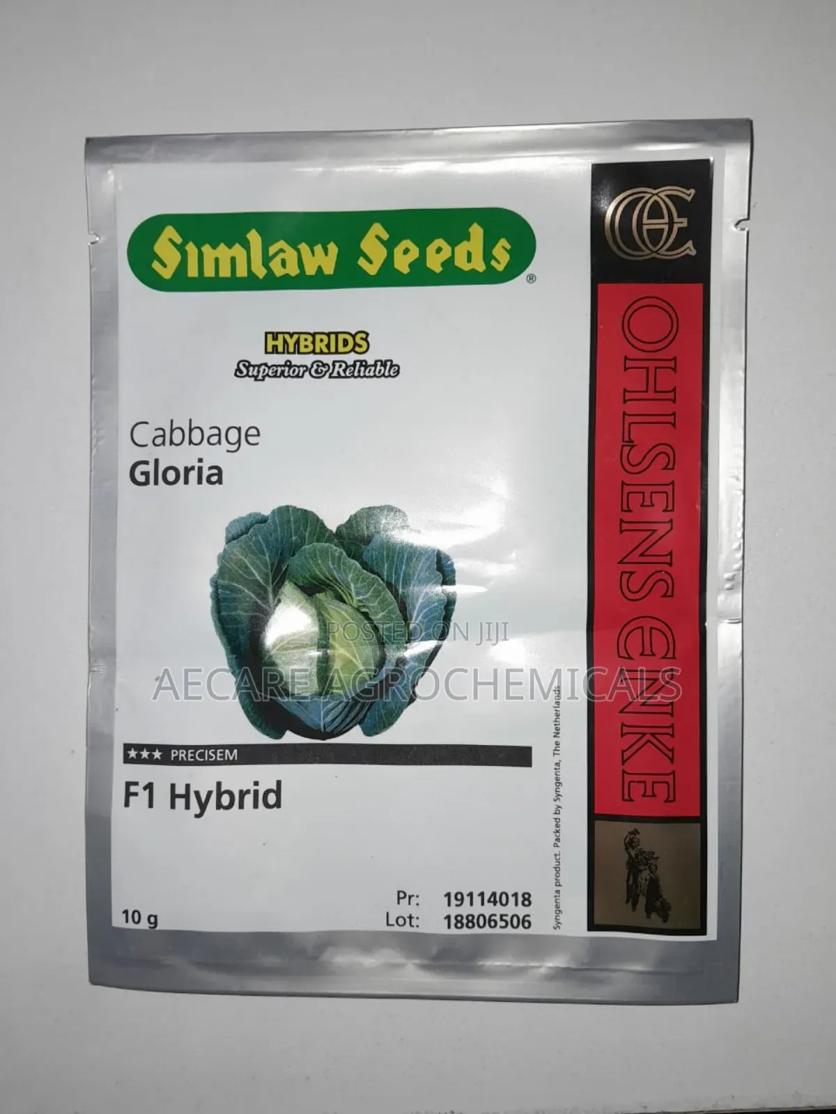Gloria F1 Cabbage Hybrid Seeds 10 Grams