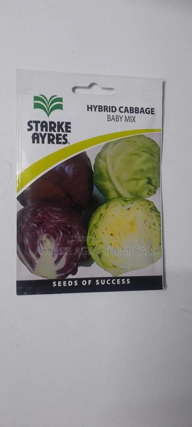 Hybrid Cabbage Baby Mix 0.5 Gram - thumbnail 2