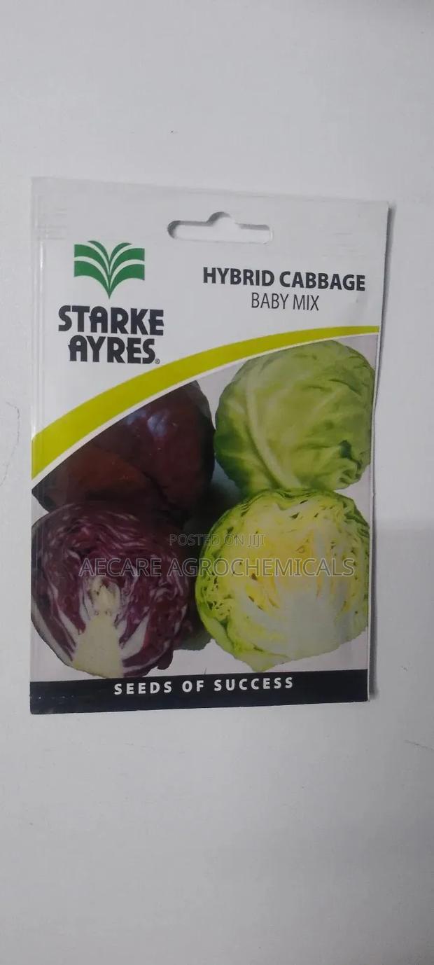 Hybrid Cabbage Baby Mix 0.5 Gram - thumbnail 4