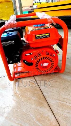 Luxstec Industrial Poker Vibrator