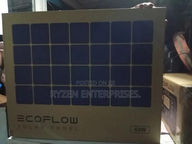 Ecoflow 60w Portable Solar Panel