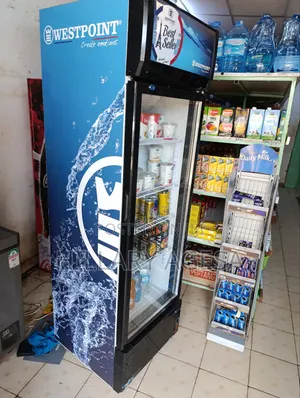 Display Fridge Gas Refill Service