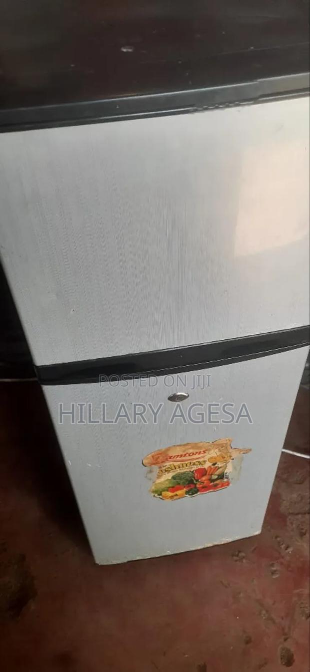 Double Fridge Sells - thumbnail 4