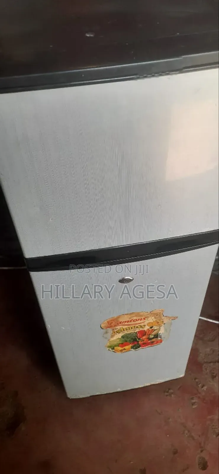 Double Fridge Sells