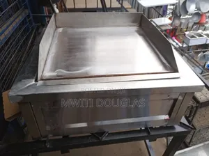 Examplary Best Griddle
