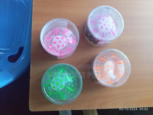 Jelly Fish - main view