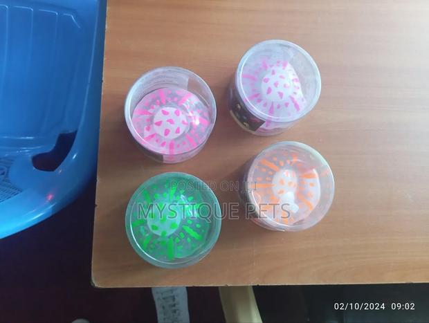 Jelly Fish - thumbnail 3