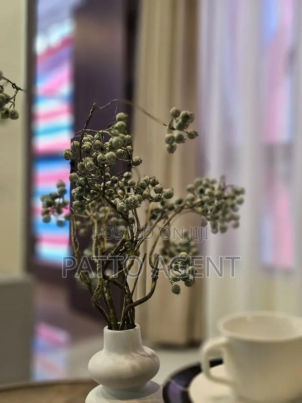 Furnished 1bdrm Apartment in Westlands for sale - thumbnail 19