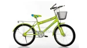 Premier 20 Inch Victory Bmx Kids Bicycle