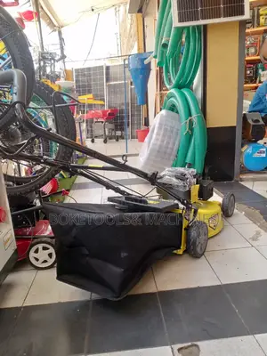 Wasp Lawnmower 21" Self Propelled 196CC