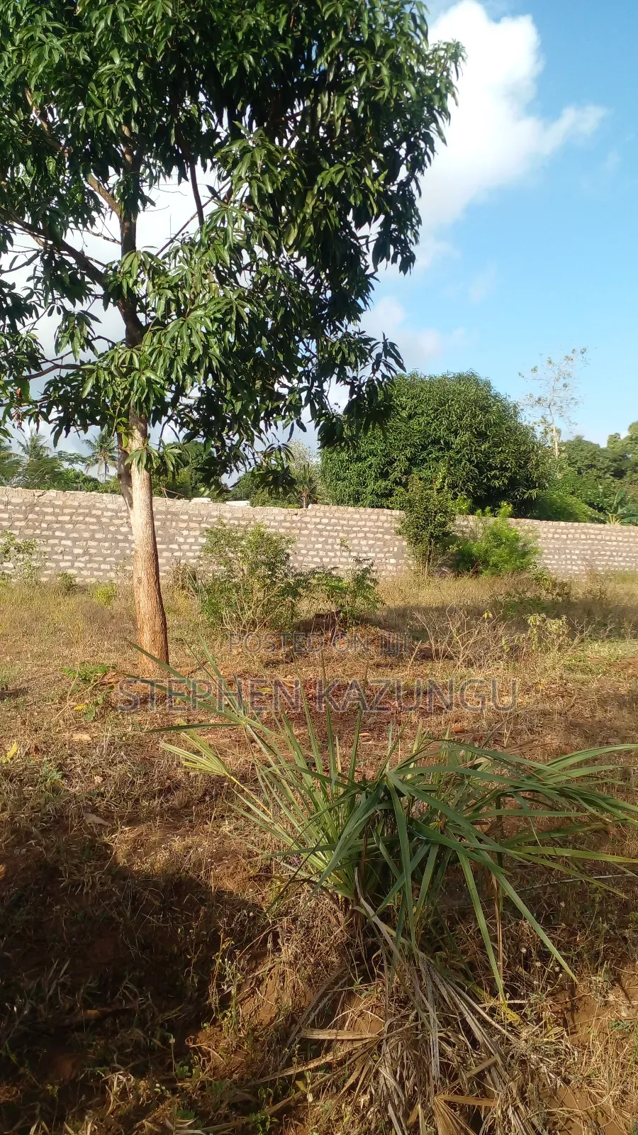 1/4 Acre Plot on Sale at Bongwe Area, in Ukunda.