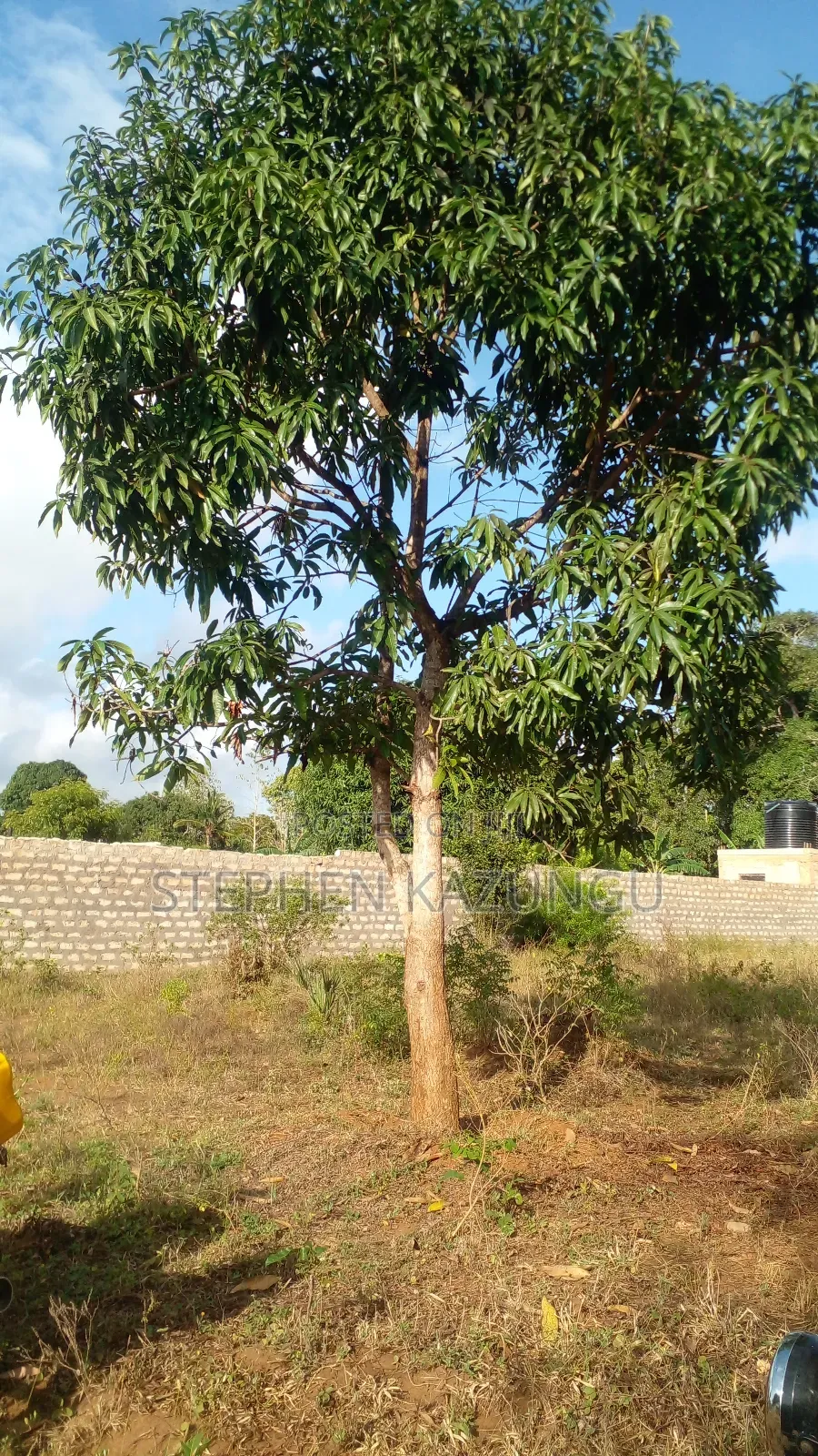 1/4 Acre Plot on Sale at Bongwe Area, in Ukunda.