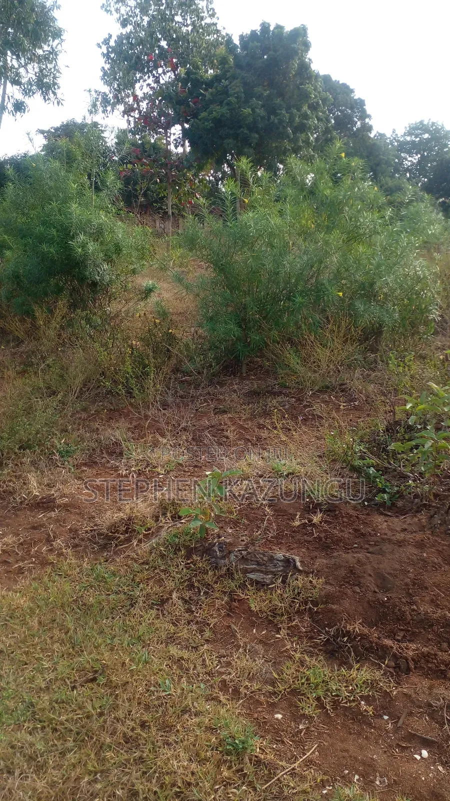 1/4 Acre Plot on Sale at Bongwe Area, in Ukunda.