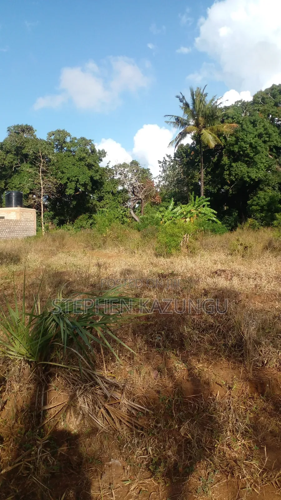 1/4 Acre Plot on Sale at Bongwe Area, in Ukunda.