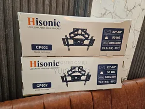 Hisonic Swivel Wall Mount