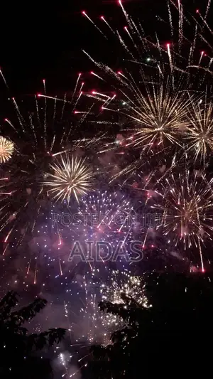 42 Shots Party on Firework