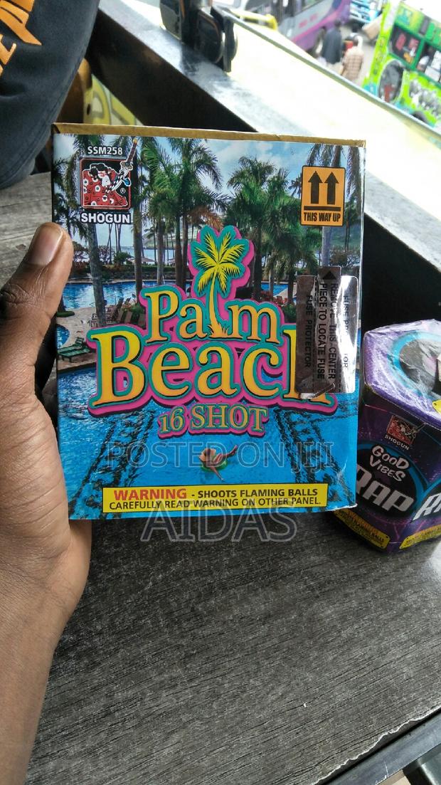 16 Shots Palm Beach Outdoor Firework - main view