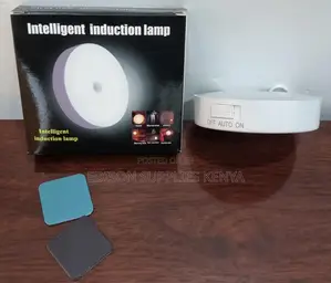Motion Sensor LED Night Lights USB Rechargeable Lamps Bulbs