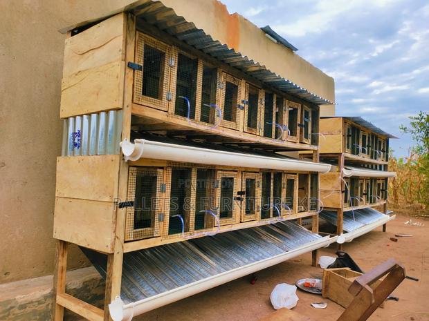 Commercial Rabbit House - main view