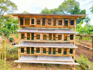 Rabbit House - thumbnail 2