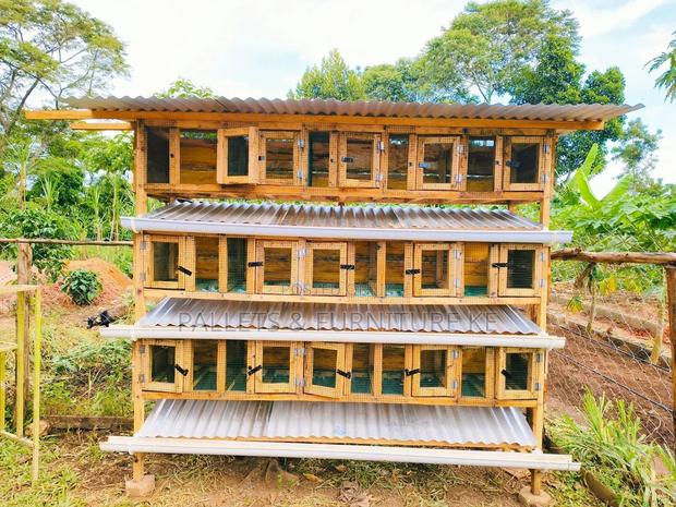 Rabbit House - main view