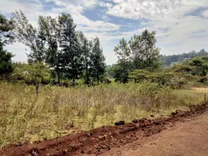 Prime 1/8 Acre Plot for Sale in Ngong