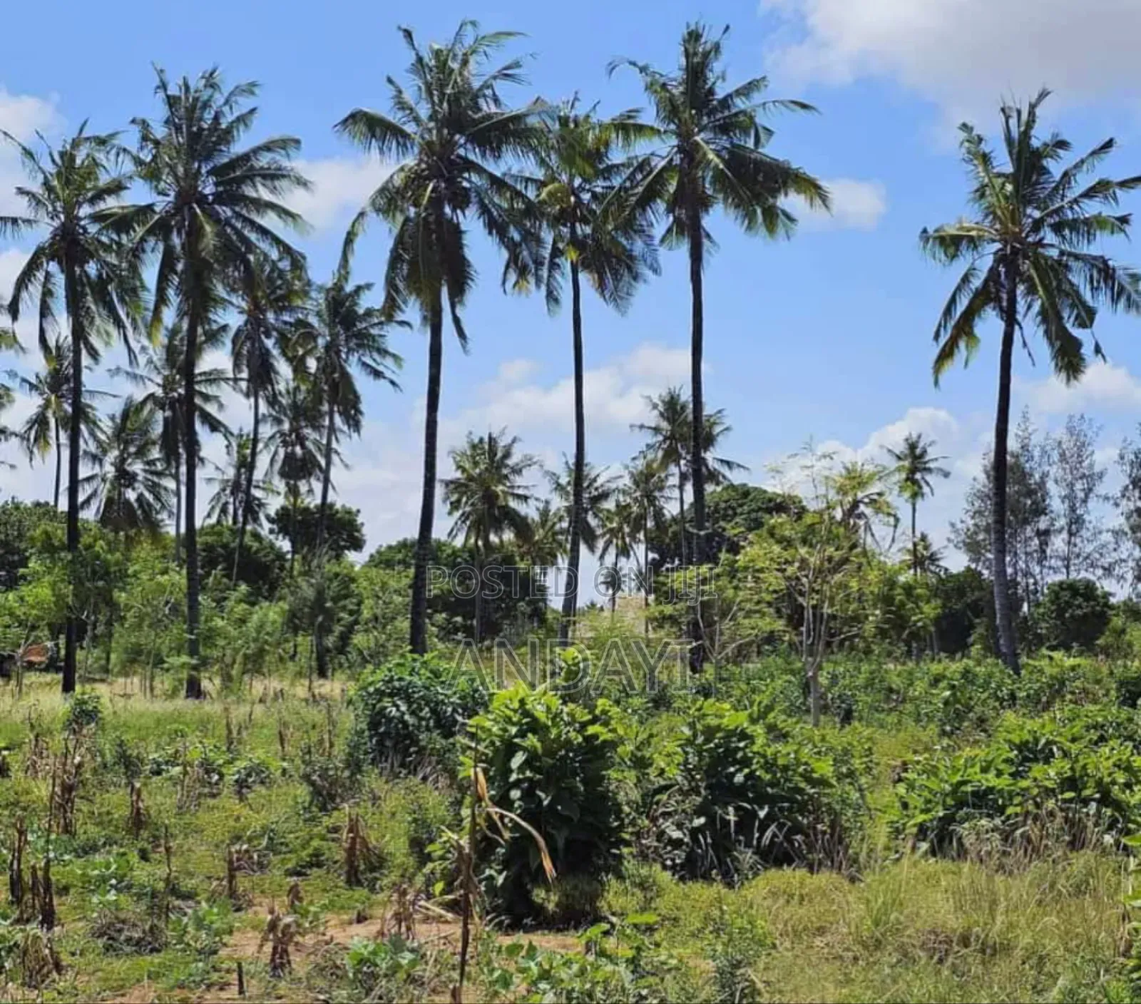 Chumani, Kilifi Plots for Sale
