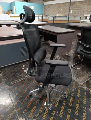 Elgomic /Orthopedic Chair