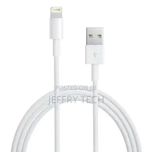 Lightning To USB Cable (1 M)