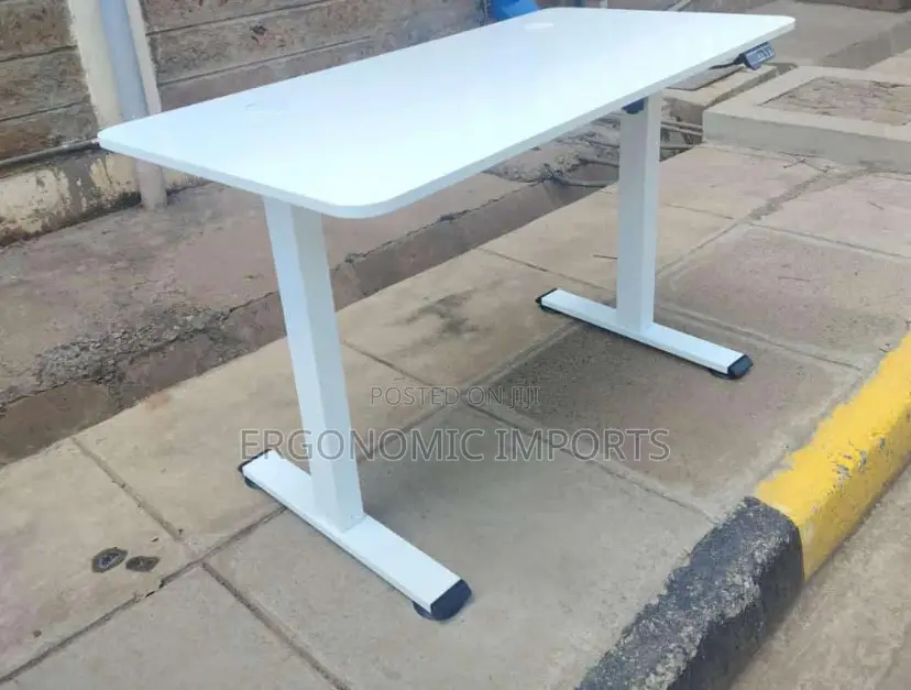 Adjustable Electric Standing Desk