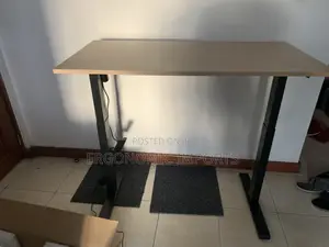 Adjustable Electric Standing Desk