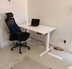 Adjustable Electric Standing Desk