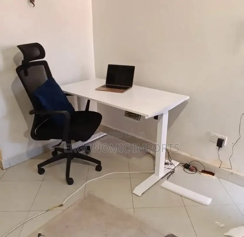 Adjustable Electric Standing Desk