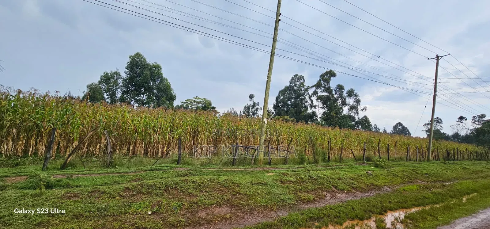 Prime 3⁄4 Plot for Sale in Royalton Eldoret