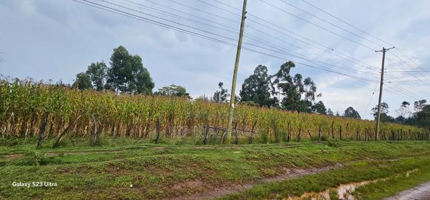 Prime 3⁄4 Plot for Sale in Royalton Eldoret - main view