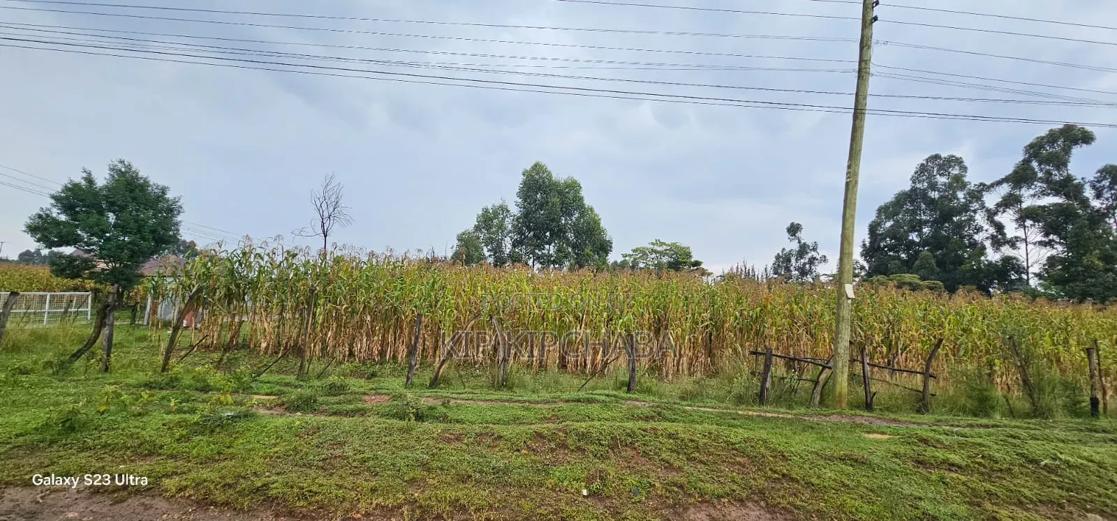 Prime 3⁄4 Plot for Sale in Royalton Eldoret