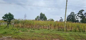 Prime 3⁄4 Plot for Sale in Royalton Eldoret