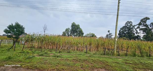 Prime 3⁄4 Plot for Sale in Royalton Eldoret - thumbnail 3