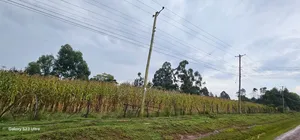 Prime 3⁄4 Plot for Sale in Royalton Eldoret