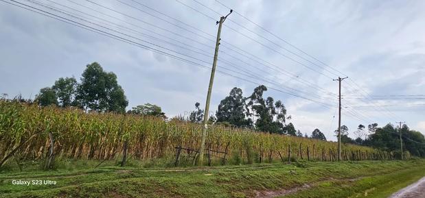 Prime 3⁄4 Plot for Sale in Royalton Eldoret - thumbnail 4