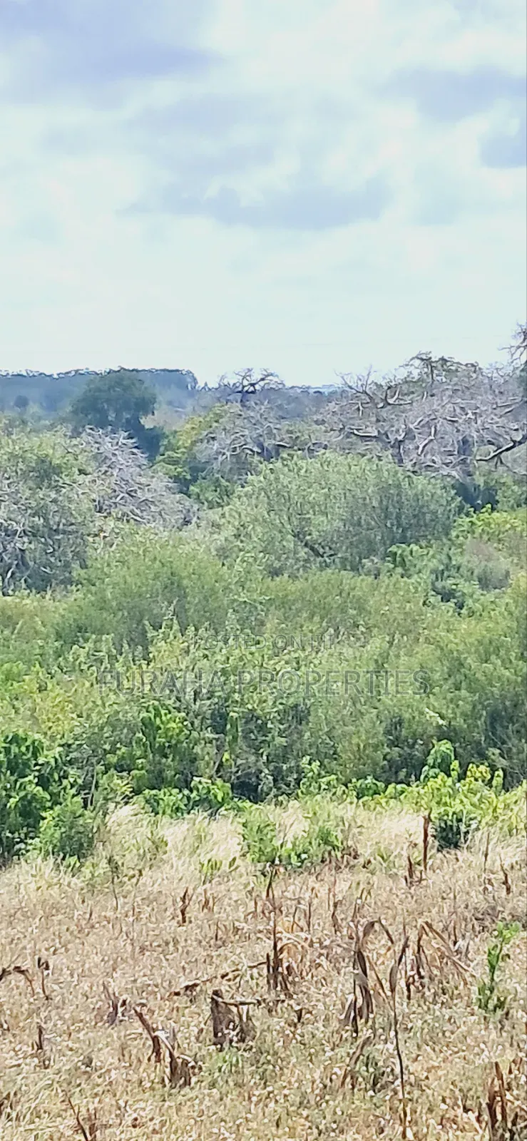 For Sale 180 Acres Kilifi.