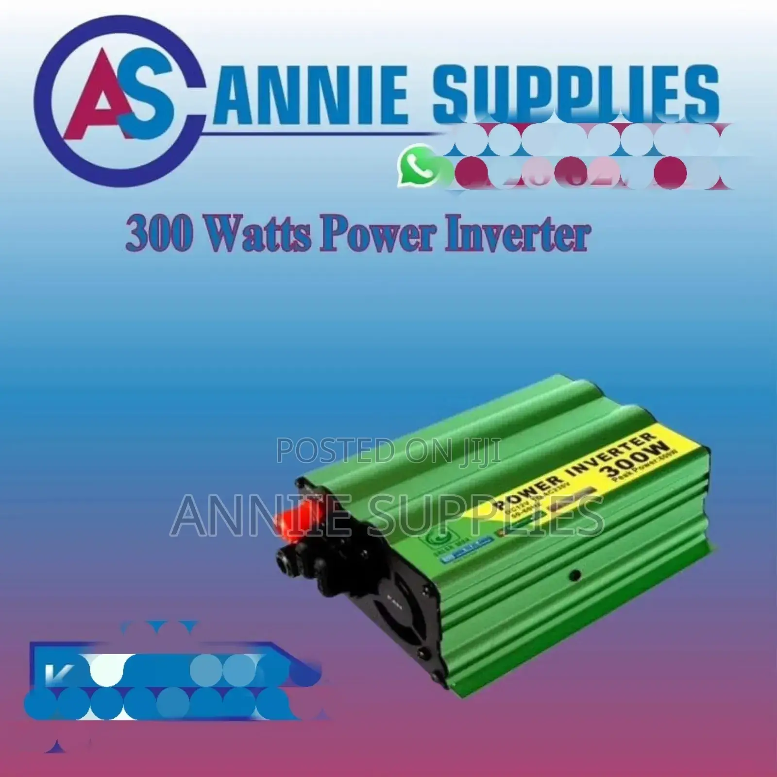 Solarmax Power Inverter 300
