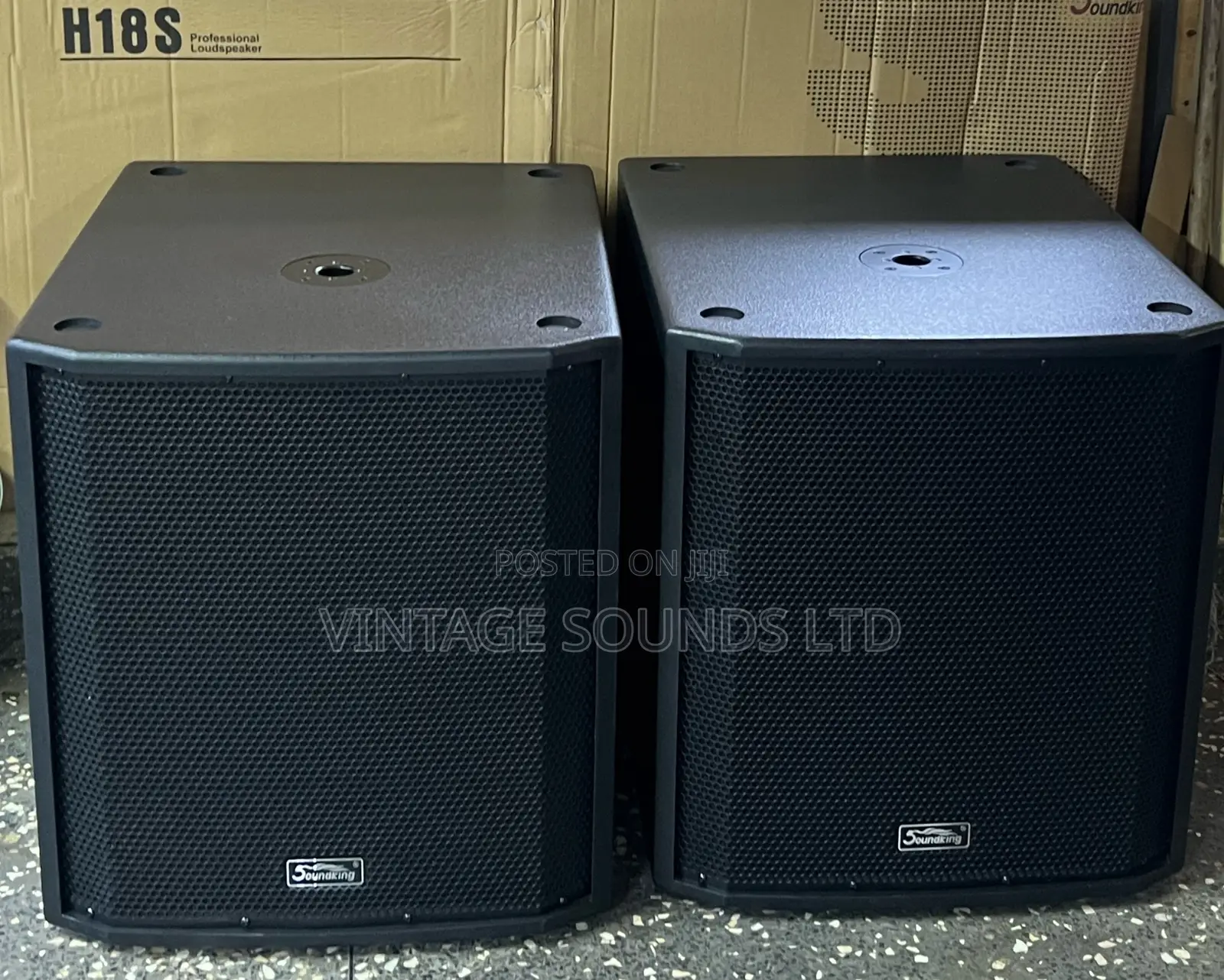 Soundking Hs18 Double Coil Subwoofer Bass Speaker