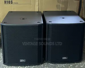 Soundking Hs18 Double Coil Subwoofer Bass Speaker