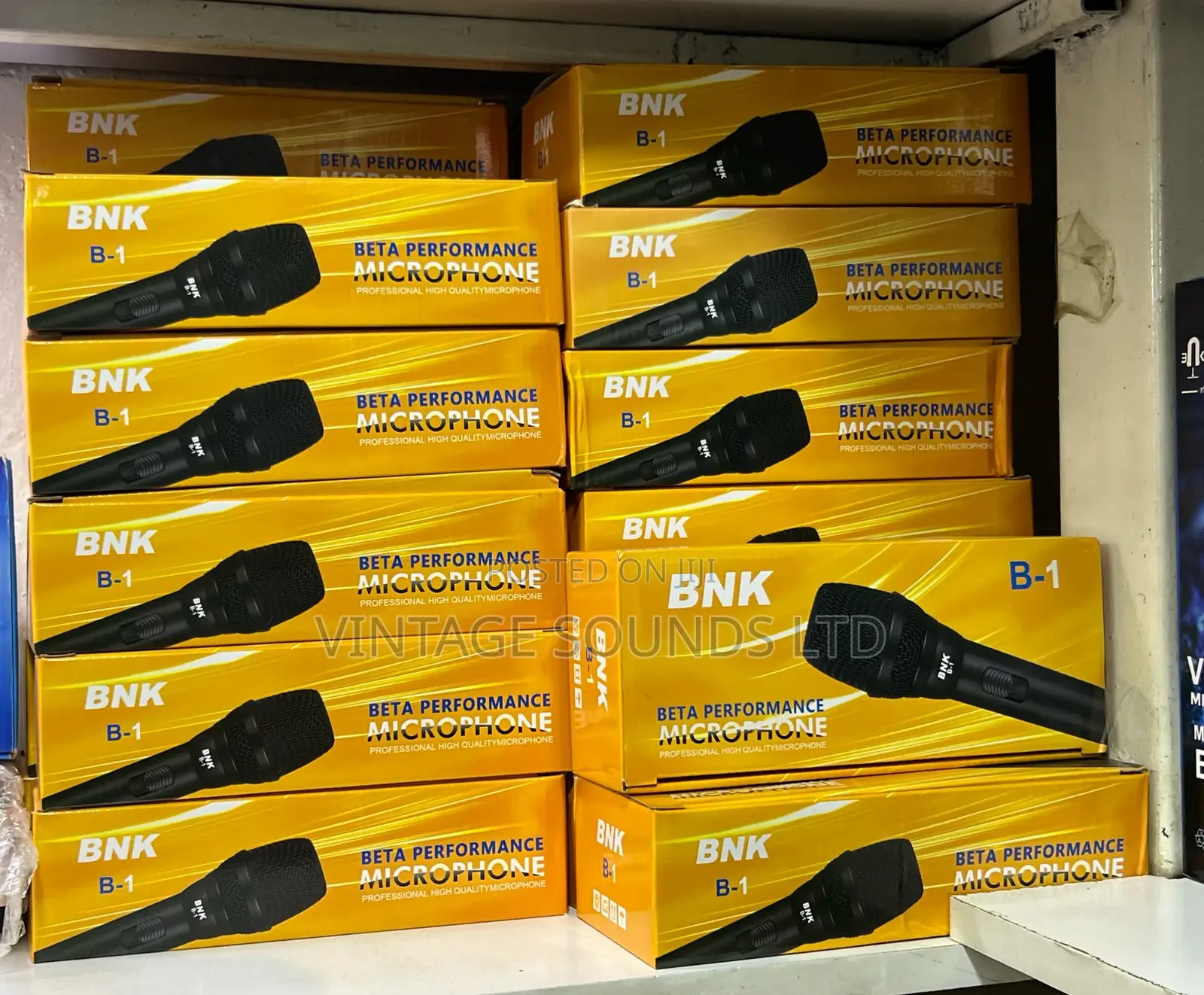 BNK B1 Professional Wired Core Microphone