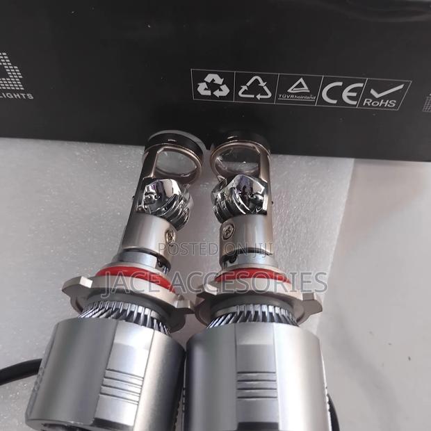 Latest Biled Bulbs - thumbnail 2